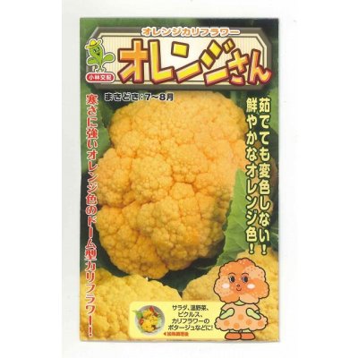 画像1: 送料無料　[カリフラワー]　オレンジさん　15粒　小林種苗