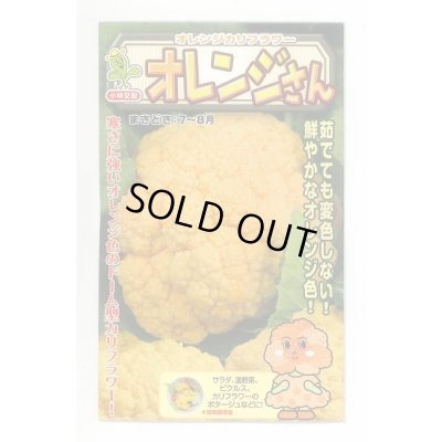 画像1: 送料無料　[カリフラワー]　オレンジさん　15粒　小林種苗