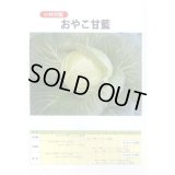 送料無料　[キャベツ]　キャベツ　おやこ甘藍　1ml(約220粒)　小林種苗(株)