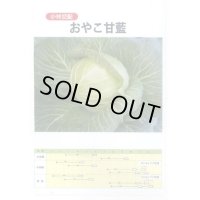送料無料　[キャベツ]　キャベツ　おやこ甘藍　1ml(約220粒)　小林種苗(株)