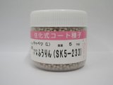 送料無料　[キャベツ]　ふうりん　コート5000粒　（株）サカタのタネ