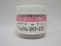 送料無料　[キャベツ]　ふうりん　コート5000粒　（株）サカタのタネ