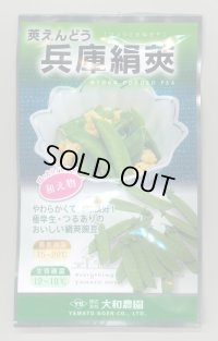 送料無料　[えんどう]　兵庫絹莢えんどう　20ml　大和農園
