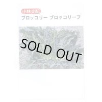 送料無料　[ブロッコリー]　ブロッコリーフ　50粒　小林種苗