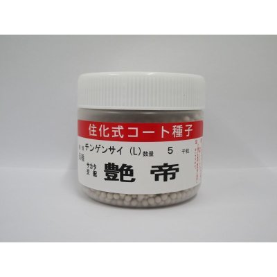 画像1: [中国野菜]　チンゲンサイ　艶帝　ペレット5000粒　(株)サカタのタネ