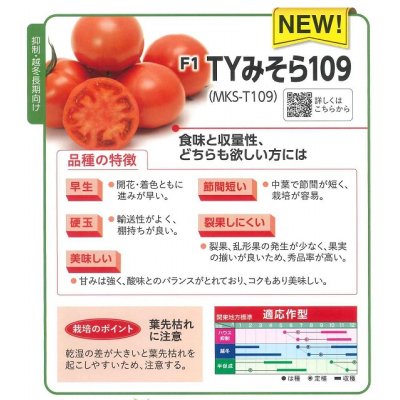 画像3: 送料無料　[トマト]　大玉トマト　TYみそら109　100粒　ヴィルモランみかど（株）