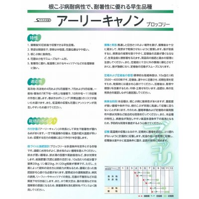 画像3: [ブロッコリー] アーリーキャノン 2000粒 (株)サカタのタネ
