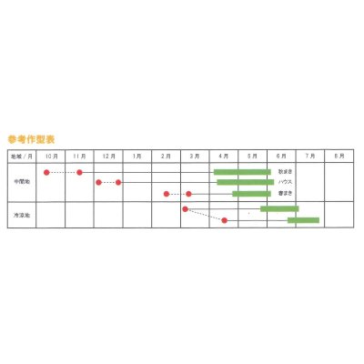 画像3: 送料無料　[えんどう]　パープルスナップ　藤姫　20ml　松永種苗(株)