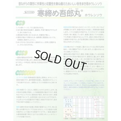画像3: [ほうれんそう]　寒締め吾郎丸　種子サイズM　3万粒　（株）サカタのタネ