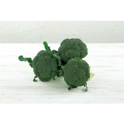 画像5: [ブロッコリー] アーリーキャノン 2000粒 (株)サカタのタネ