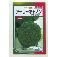 送料無料[ブロッコリー]　アーリーキャノン　2000粒　(株)サカタのタネ