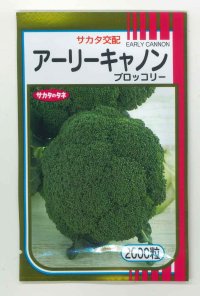 送料無料[ブロッコリー]　アーリーキャノン　2000粒　(株)サカタのタネ