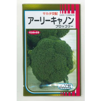 画像1: [ブロッコリー] アーリーキャノン 2000粒 (株)サカタのタネ
