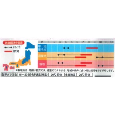 画像3: 花の種　トルコギキョウ　マキアミックス　30粒　サカタのタネ（株）　実咲350