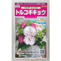 送料無料　花の種　トルコギキョウ　マキアミックス　30粒　(株)サカタのタネ　実咲350（028147）