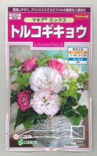 花の種　トルコギキョウ　マキアミックス　30粒　サカタのタネ（株）　実咲350