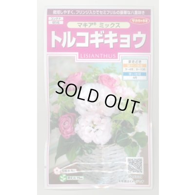 画像1: 花の種 トルコギキョウ マキアミックス 30粒 (株)サカタのタネ 実咲350(028147)