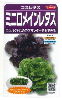 [レタス]　コスレタス　ミニロメインレタス　40粒　サカタのタネ（株）　実咲400