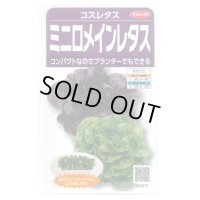 送料無料　[レタス]　コスレタス　ミニロメインレタス　40粒　(株)サカタのタネ　実咲450（003954）