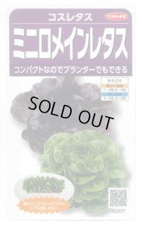 送料無料　[レタス]　コスレタス　ミニロメインレタス　40粒　(株)サカタのタネ　実咲450（003954）
