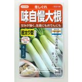 送料無料　[大根]　冬しぐれ　(約150粒)　(株)サカタのタネ　実咲450（003955）