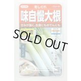 送料無料　[大根]　冬しぐれ　(約150粒)　(株)サカタのタネ　実咲450（003955）