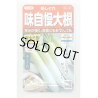 [大根]　　冬しぐれ　（約150粒）  サカタのタネ（株）実咲400