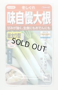 [大根]　　冬しぐれ　（約150粒）  サカタのタネ（株）実咲400