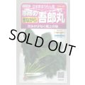送料無料　[ほうれんそう]　寒締め吾郎丸　25ml　(株)サカタのタネ　実咲250（003956）
