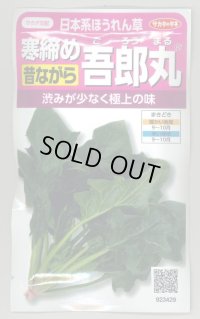 [ほうれんそう]　　寒締め吾郎丸　25ml　サカタのタネ（株） 実咲200