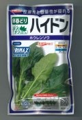 送料無料　[ほうれんそう]　ハイドン　100ml　(約4000粒)(株)サカタのタネ　実咲PRO