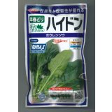 送料無料　[ほうれんそう]　ハイドン　100ml　(約4000粒)(株)サカタのタネ　実咲PRO