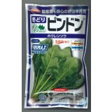 送料無料　[ほうれんそう]　ピンドン　100ml　(約4000粒)(株)サカタのタネ　実咲PRO