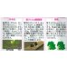 画像3: 送料無料　[ほうれんそう]　寒締め吾郎丸　25ml　(株)サカタのタネ　実咲250（003956） (3)