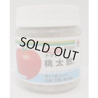 [トマト/桃太郎系]　桃太郎　1000粒　	2L　ペレット種子　タキイ種苗