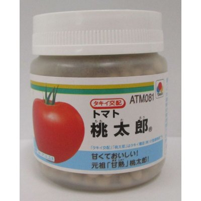 画像1: [トマト/桃太郎系]　桃太郎　1000粒　	2L　ペレット種子　タキイ種苗