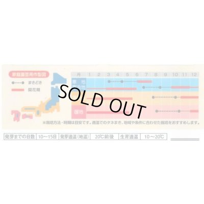 画像2: 花の種 パンジー 夢色スミレ 恋桜 約50粒 (株)サカタのタネ 実咲500（028146）