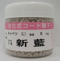 [キャベツ]　送料無料！　新藍　コート５千粒　サカタ交配　