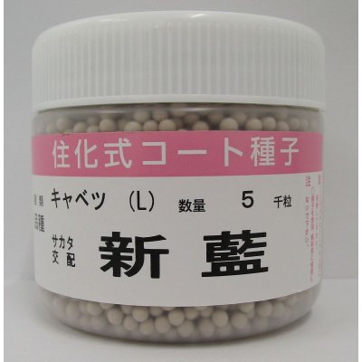 画像1: [キャベツ]　送料無料！　新藍　コート５千粒　サカタ交配　