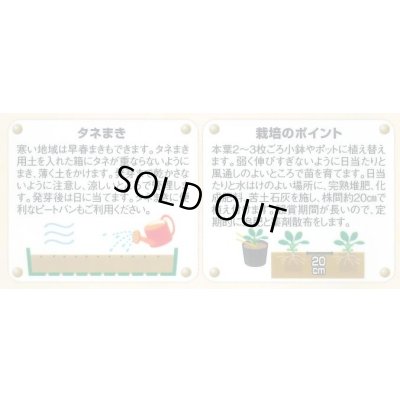 画像3: 花の種 パンジー 夢色スミレ 恋桜 約50粒 (株)サカタのタネ 実咲500（028146）