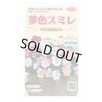 送料無料　花の種　パンジー　夢色スミレ　恋桜　約50粒　(株)サカタのタネ　実咲500（028146）