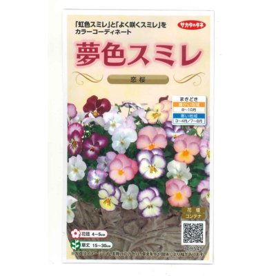 画像1: 花の種　パンジー　夢色スミレ　恋桜　約50粒 　サカタのタネ（株）実咲500