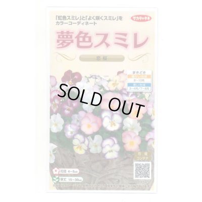 画像1: 花の種 パンジー 夢色スミレ 恋桜 約50粒 (株)サカタのタネ 実咲500（028146）