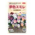 画像1: 花の種　パンジー　夢色スミレ　恋桜　約50粒 　サカタのタネ（株）実咲500 (1)