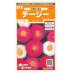 画像1: 花の種　デージー　花壇混合　0.1ml　サカタのタネ（株）実咲200 (1)