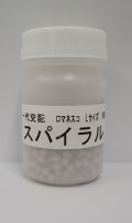 [カリフラワー]　スパイラル　コート1000粒　渡辺農事