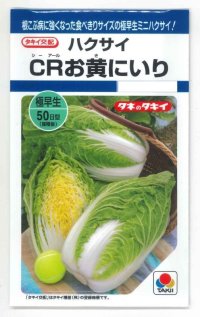 [白菜]　CRお黄にいり　1.8ｍｌ 貴種（コートしてません）　タキイ種苗（株）　DF