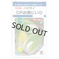 送料無料　[白菜]　CRお黄にいり　1.8ml（約300粒）　貴種(コートしてません)　タキイ種苗(株)　DF