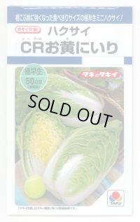 送料無料　[白菜]　CRお黄にいり　1.8ml（約300粒）　貴種(コートしてません)　タキイ種苗(株)　DF