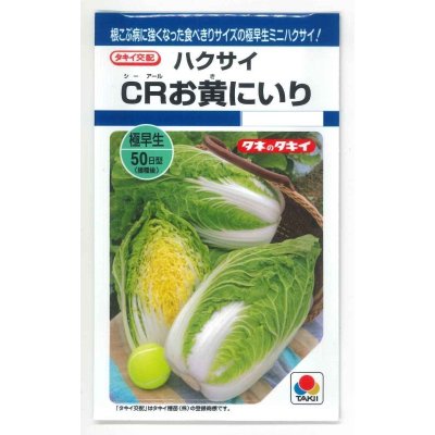 画像1: 送料無料　[白菜]　CRお黄にいり　1.8ml　貴種(コートしてません)　タキイ種苗(株)　DF